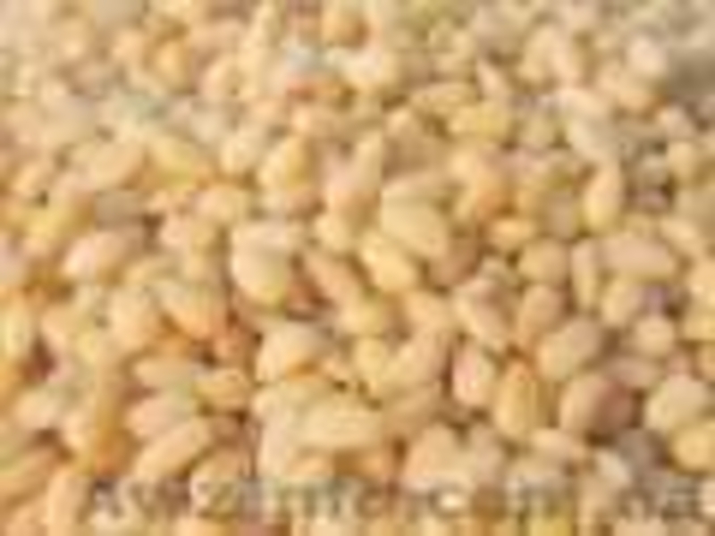 Кедровый орех продам - <ro>Изображение</ro><ru>Изображение</ru> #1, <ru>Объявление</ru> #137722