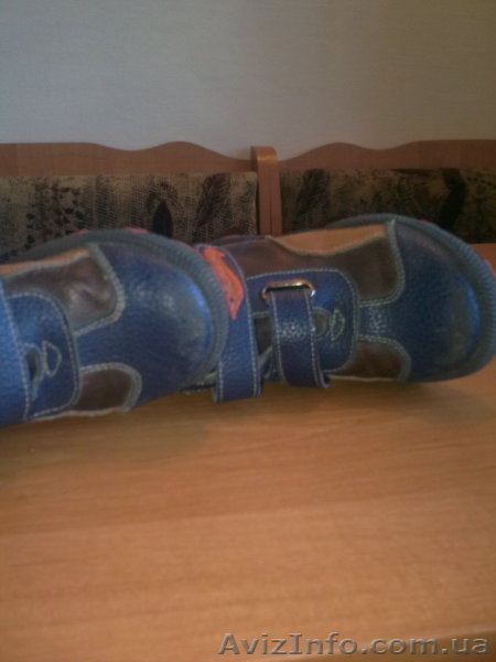 боитночки весенне-осенние - <ro>Изображение</ro><ru>Изображение</ru> #3, <ru>Объявление</ru> #210592