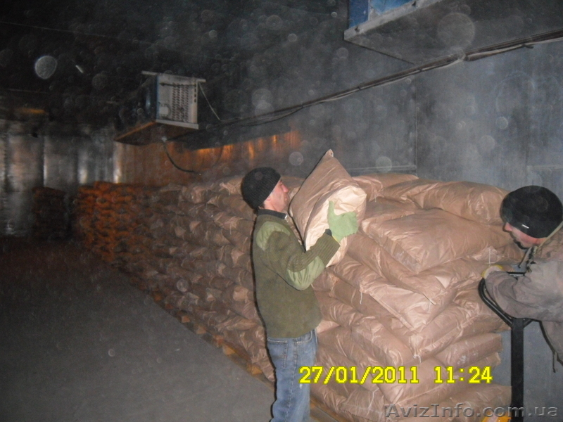 Услуги грузчиков и грузоперевозок - <ro>Изображение</ro><ru>Изображение</ru> #3, <ru>Объявление</ru> #209374