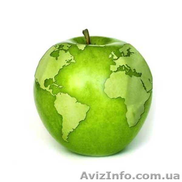 Ремонт мобильных телефонов харьков Ремонт телефона в харькове - <ro>Изображение</ro><ru>Изображение</ru> #4, <ru>Объявление</ru> #249278