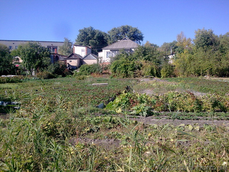 Продаю дом в г.Изюм - <ro>Изображение</ro><ru>Изображение</ru> #3, <ru>Объявление</ru> #278037