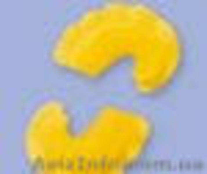 Производство макаронных изделий - <ro>Изображение</ro><ru>Изображение</ru> #6, <ru>Объявление</ru> #257801