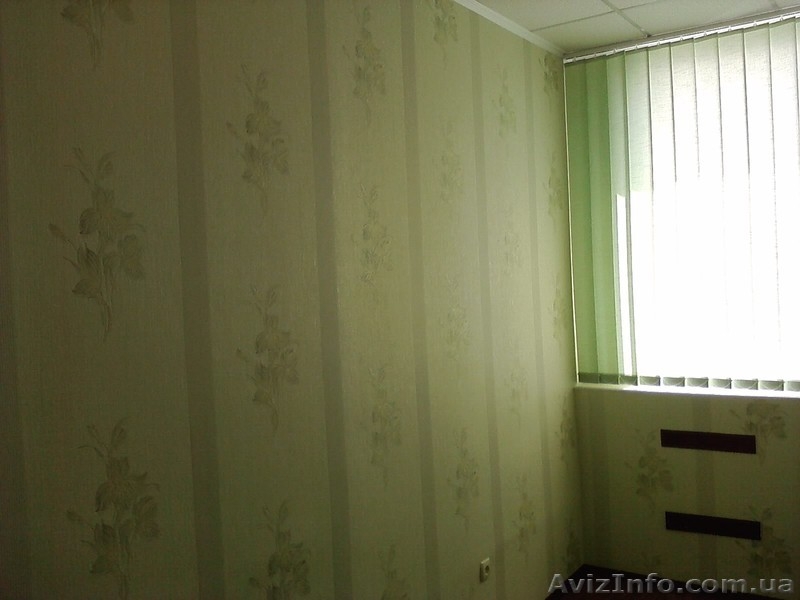 Клейка обоев (любых) - <ro>Изображение</ro><ru>Изображение</ru> #2, <ru>Объявление</ru> #255127