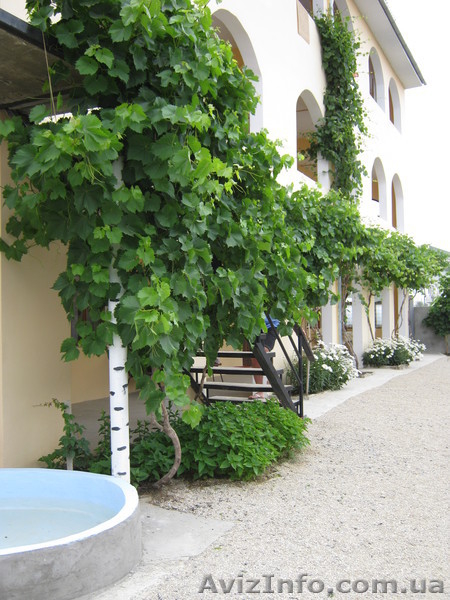 Гостиничный комплекс "Прибой" - <ro>Изображение</ro><ru>Изображение</ru> #3, <ru>Объявление</ru> #311765