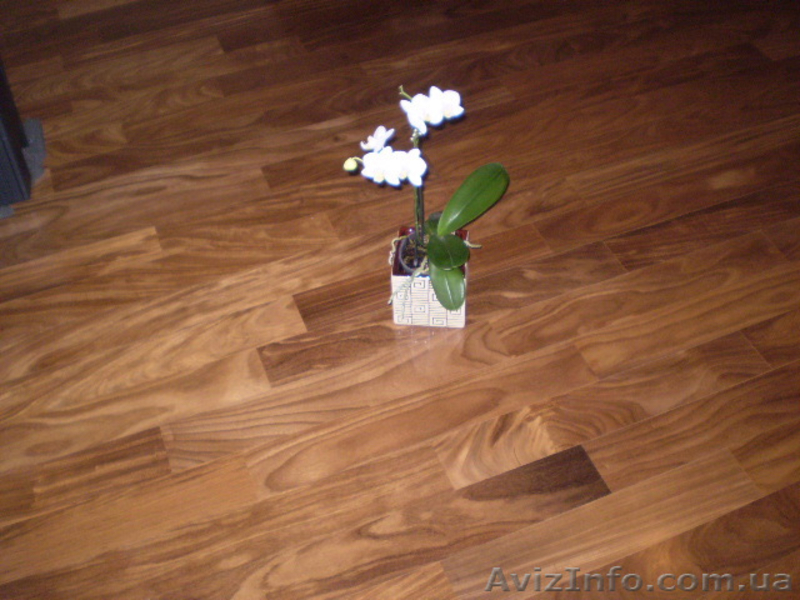 Паркет в Греческом Зале - <ro>Изображение</ro><ru>Изображение</ru> #1, <ru>Объявление</ru> #338608