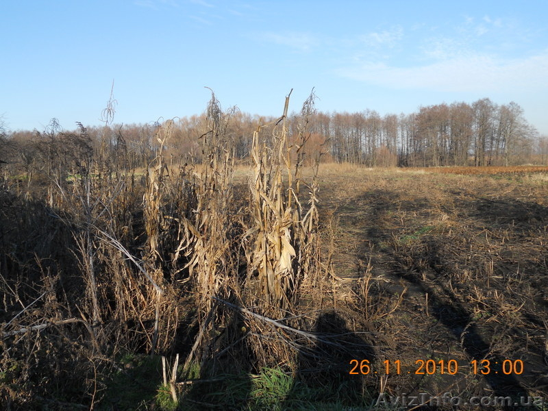 продам дом в Змиевском р-не/с.Гинеевка - <ro>Изображение</ro><ru>Изображение</ru> #1, <ru>Объявление</ru> #341793