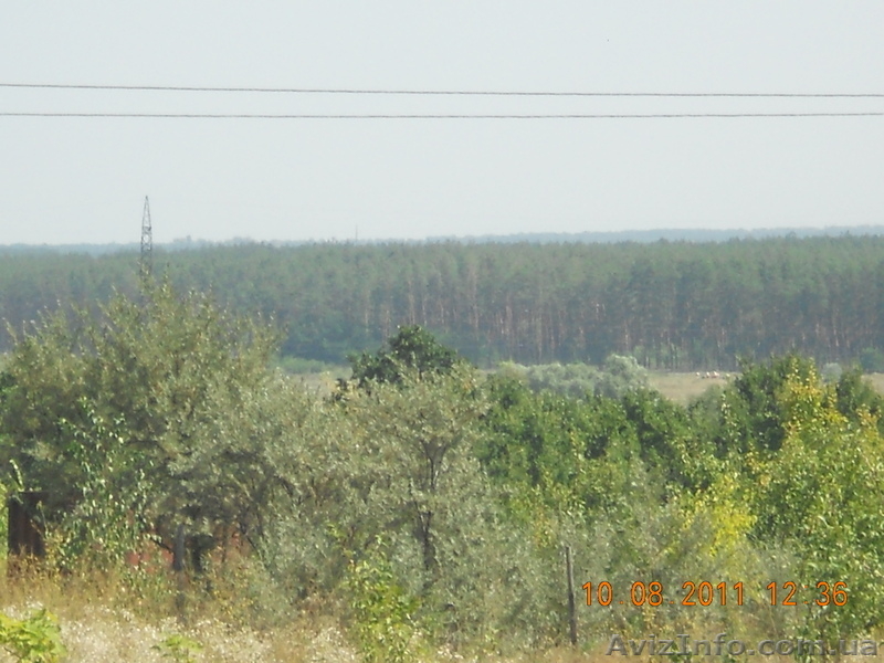 Срочно продам дачу в с.Черемушное - <ro>Изображение</ro><ru>Изображение</ru> #3, <ru>Объявление</ru> #350127