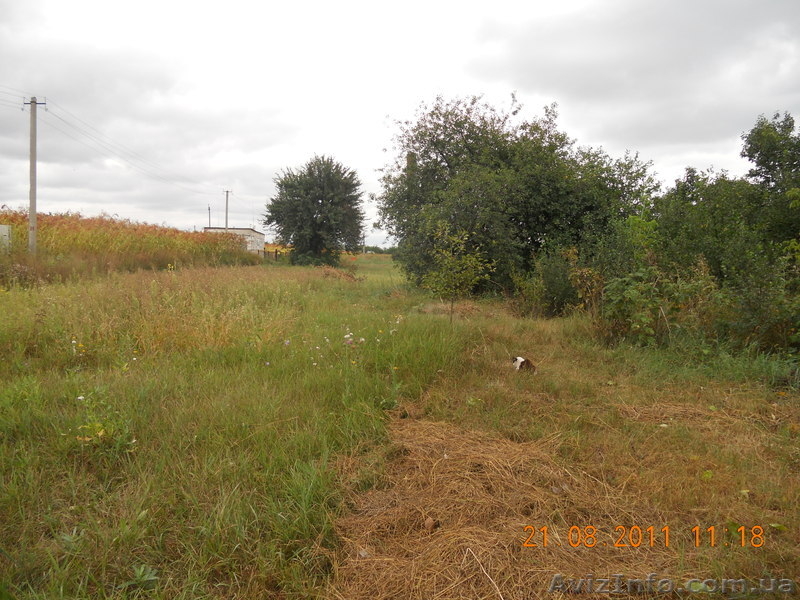 продам дом в Змиевском р-не.с.Лиман - <ro>Изображение</ro><ru>Изображение</ru> #3, <ru>Объявление</ru> #359210