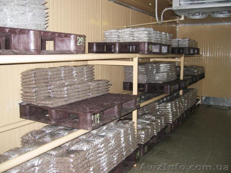 Мицелий вешенки - <ro>Изображение</ro><ru>Изображение</ru> #3, <ru>Объявление</ru> #350713