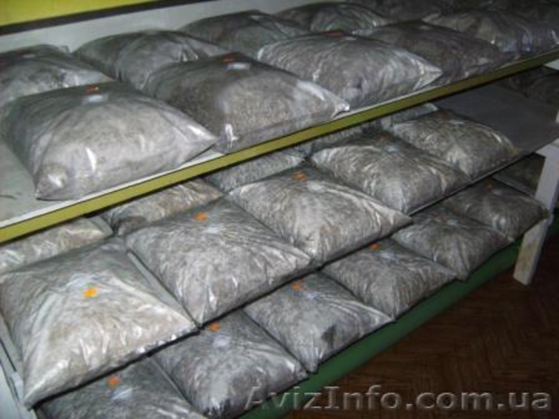 Пакеты для мицелия - <ro>Изображение</ro><ru>Изображение</ru> #6, <ru>Объявление</ru> #350716