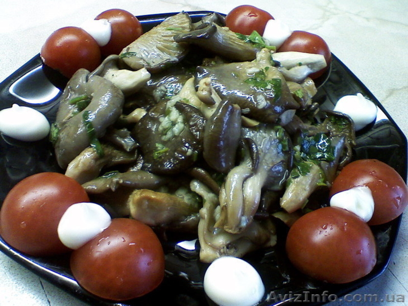 Пакеты для мицелия - <ro>Изображение</ro><ru>Изображение</ru> #3, <ru>Объявление</ru> #350716