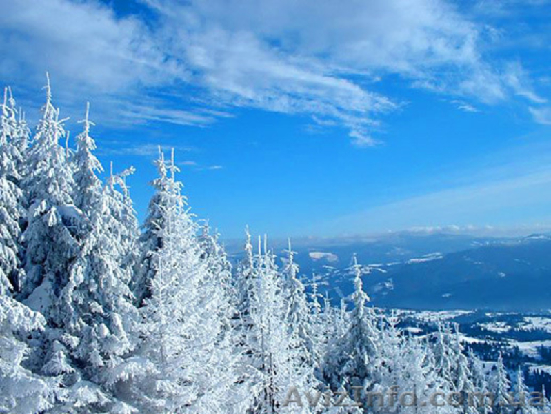 Отдых в Карпатах 2014. Горнолыжные и экскурсионные туры из Харькова!  - <ro>Изображение</ro><ru>Изображение</ru> #3, <ru>Объявление</ru> #377329