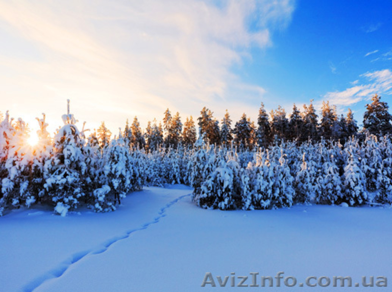 Групповые туры в Карпаты! Карпаты для групп. зима 2012. Львовские Карпаты и др. - <ro>Изображение</ro><ru>Изображение</ru> #3, <ru>Объявление</ru> #379154