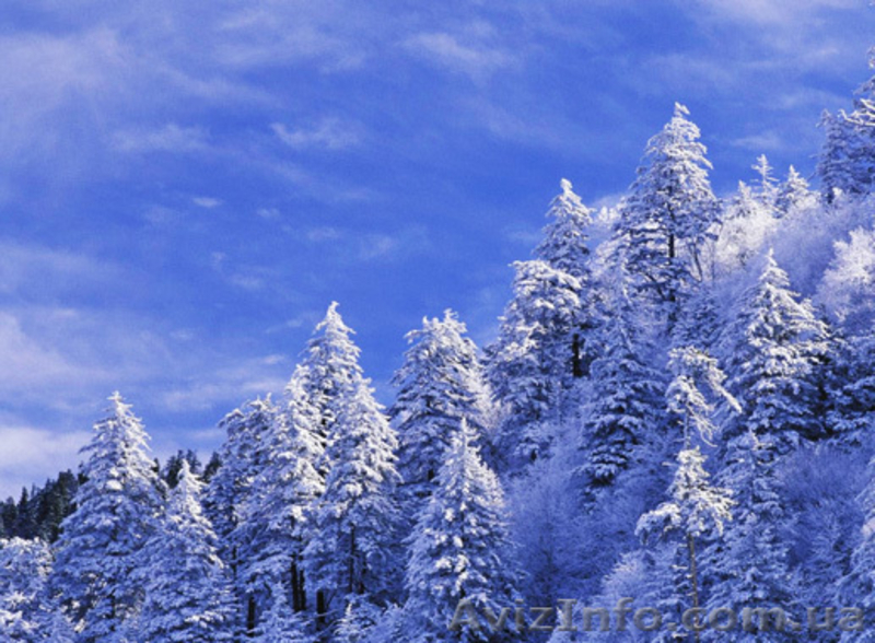 Отдых в Карпатах 2014. Горнолыжные и экскурсионные туры из Харькова!  - <ro>Изображение</ro><ru>Изображение</ru> #4, <ru>Объявление</ru> #377329