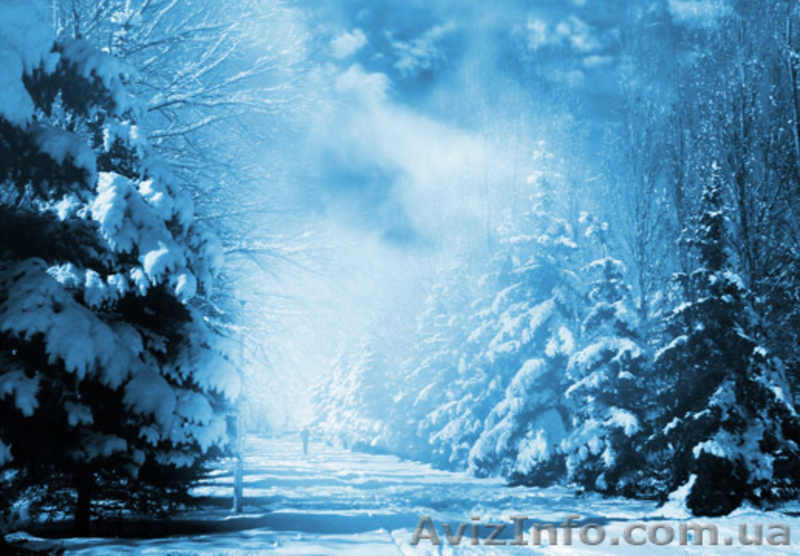 Групповые туры в Карпаты! Карпаты для групп. зима 2012. Львовские Карпаты и др. - <ro>Изображение</ro><ru>Изображение</ru> #4, <ru>Объявление</ru> #379154