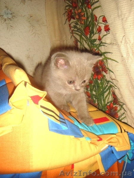 Юлия.(093)360 42 32  - <ro>Изображение</ro><ru>Изображение</ru> #2, <ru>Объявление</ru> #388098