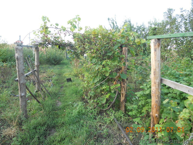 продам дом в Змиевском р-нес.Гинеевка - <ro>Изображение</ro><ru>Изображение</ru> #6, <ru>Объявление</ru> #371473