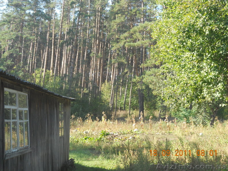 продам дом в лесу - <ro>Изображение</ro><ru>Изображение</ru> #5, <ru>Объявление</ru> #442463