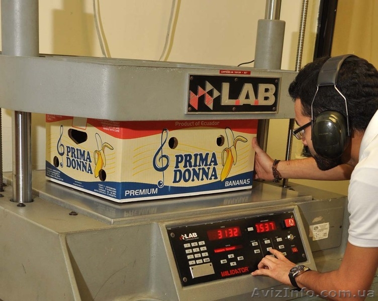 фрукты бананы оптом - <ro>Изображение</ro><ru>Изображение</ru> #3, <ru>Объявление</ru> #461566