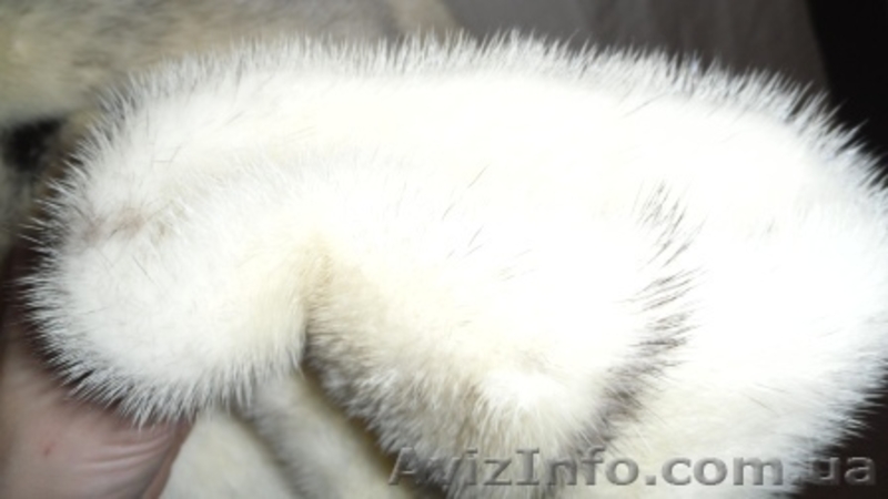 Супер молодежная норковая шубка-полушубок. Мех крестовка.  - <ro>Изображение</ro><ru>Изображение</ru> #8, <ru>Объявление</ru> #462164