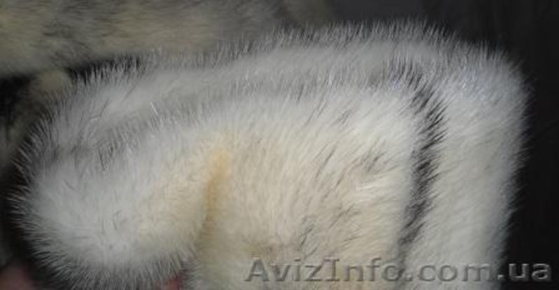 Супер молодежная норковая шубка-полушубок. Мех крестовка.  - <ro>Изображение</ro><ru>Изображение</ru> #9, <ru>Объявление</ru> #462164