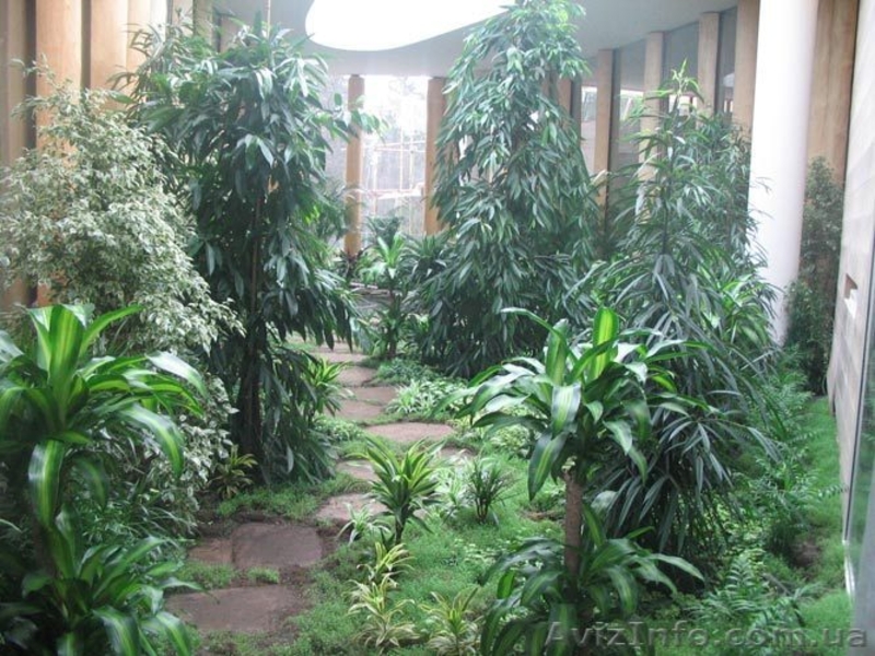 строительство зимних садов - <ro>Изображение</ro><ru>Изображение</ru> #4, <ru>Объявление</ru> #518304