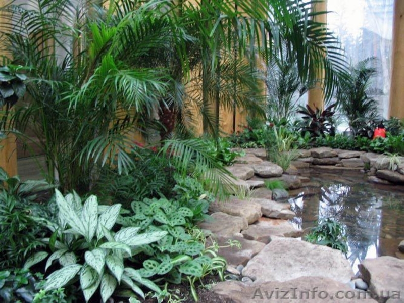 строительство зимних садов - <ro>Изображение</ro><ru>Изображение</ru> #3, <ru>Объявление</ru> #518304