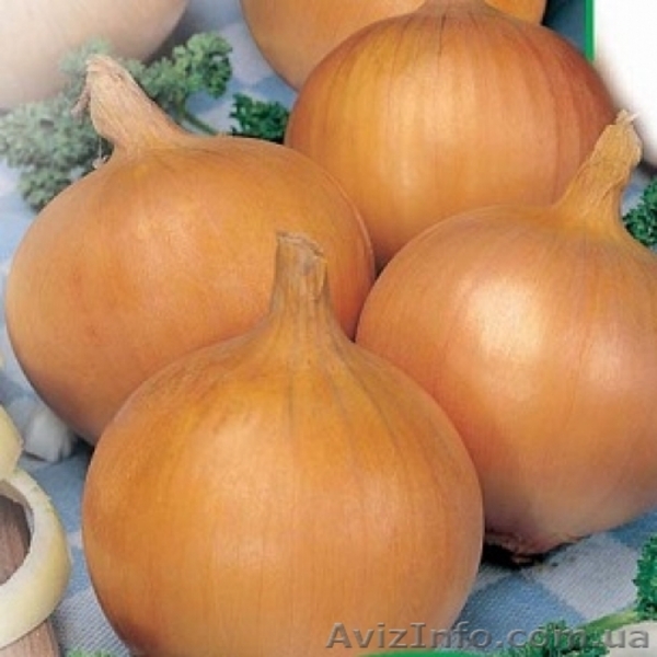 \"va banque\"       - <ro>Изображение</ro><ru>Изображение</ru> #3, <ru>Объявление</ru> #503579