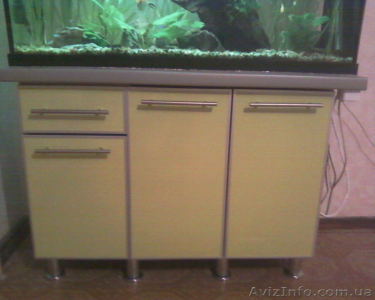 Продам свой живой аквариум с тумбой - <ro>Изображение</ro><ru>Изображение</ru> #3, <ru>Объявление</ru> #496107