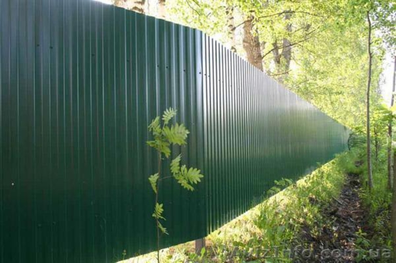 Заборы металлические из профлиста. - <ro>Изображение</ro><ru>Изображение</ru> #8, <ru>Объявление</ru> #539038