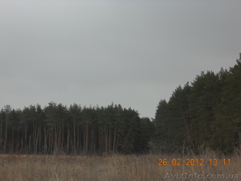 срочно продам дачу на озере Лиман - <ro>Изображение</ro><ru>Изображение</ru> #4, <ru>Объявление</ru> #554845