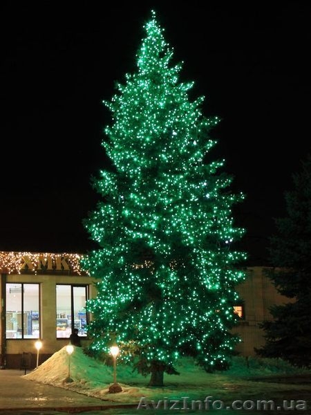 Декоративное светодиодное освещение, праздничная иллюминация - <ro>Изображение</ro><ru>Изображение</ru> #3, <ru>Объявление</ru> #555627