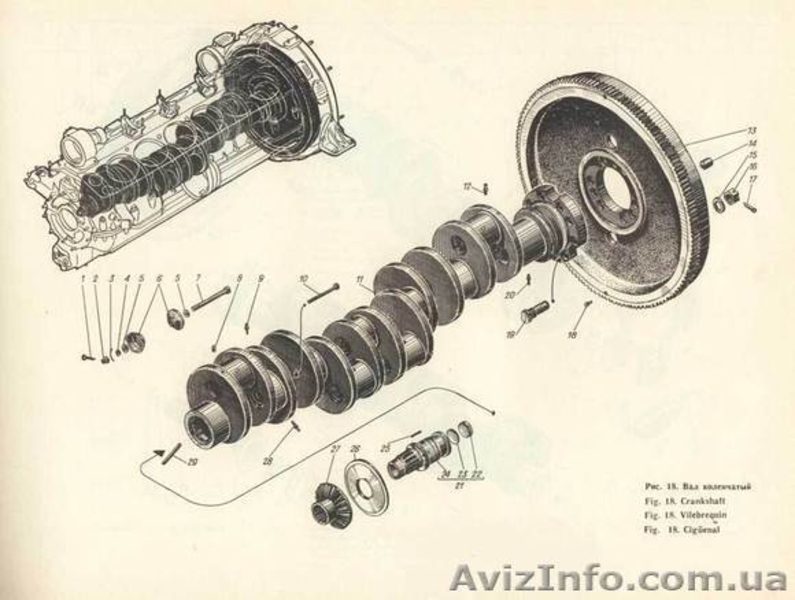 Шестерня коленчатого вала  - <ro>Изображение</ro><ru>Изображение</ru> #1, <ru>Объявление</ru> #533487