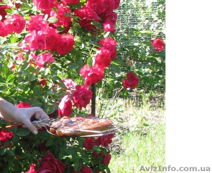 Продам 2-х эт. дачу (р-н «Питомник», за Русской Лозовой) - <ro>Изображение</ro><ru>Изображение</ru> #5, <ru>Объявление</ru> #595628