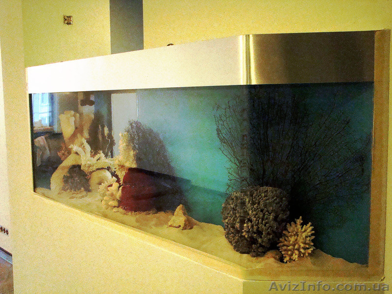 Аквариумы,фонтаны,водопады,арки,колоны,перегородки - <ro>Изображение</ro><ru>Изображение</ru> #1, <ru>Объявление</ru> #586849