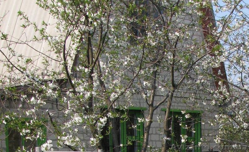 Продам 2-х эт. дачу (р-н «Питомник», за Русской Лозовой) - <ro>Изображение</ro><ru>Изображение</ru> #3, <ru>Объявление</ru> #595628