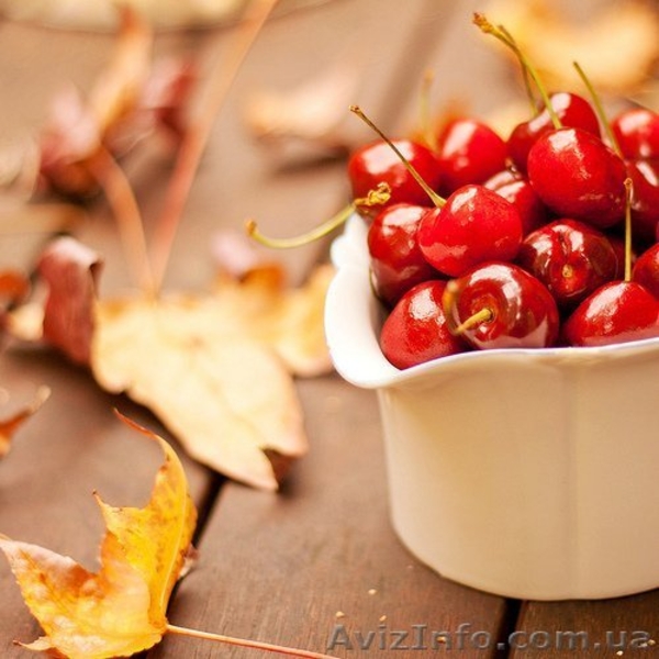 САЖЕНЦЫ ДЕРЕВЬЕВ - <ro>Изображение</ro><ru>Изображение</ru> #4, <ru>Объявление</ru> #594488