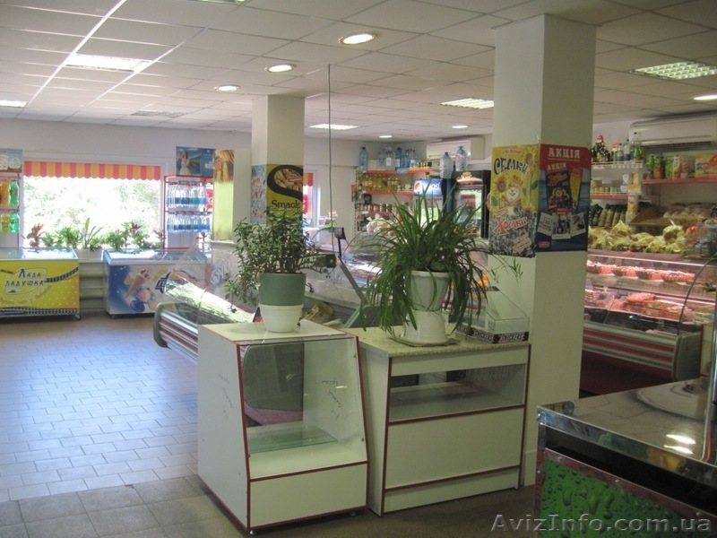 Продам отдельностоящий продовольственный магазиy - <ro>Изображение</ro><ru>Изображение</ru> #9, <ru>Объявление</ru> #583729