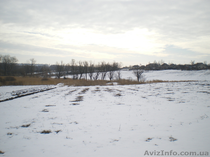 cело...шестаково  - <ro>Изображение</ro><ru>Изображение</ru> #2, <ru>Объявление</ru> #584644