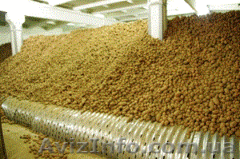 Строительство и проектировка овощехранилищ - <ro>Изображение</ro><ru>Изображение</ru> #3, <ru>Объявление</ru> #582773