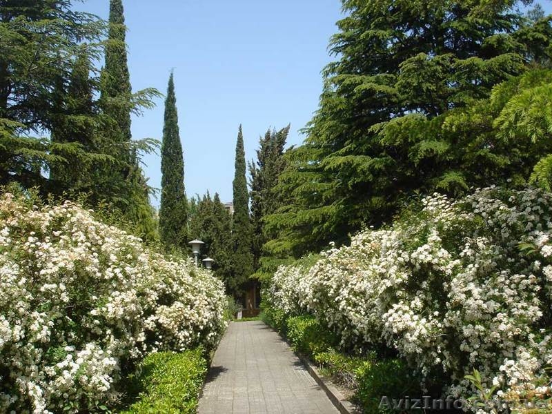 Недорогие туры в Крым из Харькова. Алушта из Харькова. Отдых на ЮБК из Харькова! - <ro>Изображение</ro><ru>Изображение</ru> #4, <ru>Объявление</ru> #259014