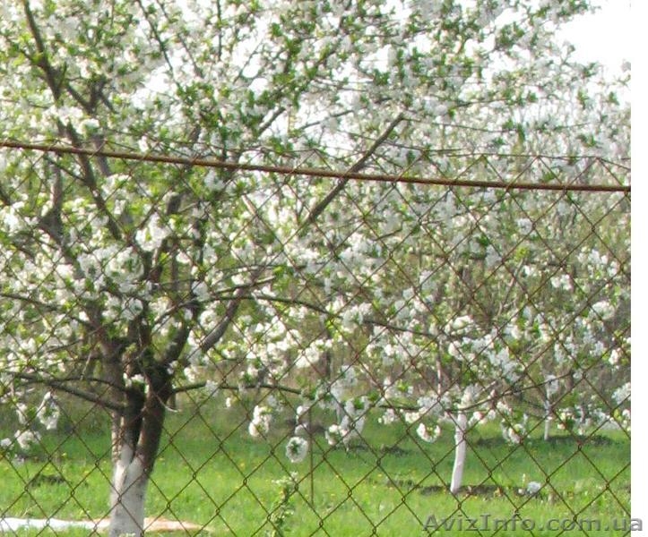 Продам 2-х эт. дачу (р-н «Питомник», за Русской Лозовой) - <ro>Изображение</ro><ru>Изображение</ru> #4, <ru>Объявление</ru> #595628