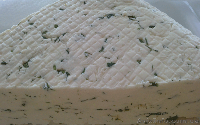 Продажа Брынза оптом - <ro>Изображение</ro><ru>Изображение</ru> #4, <ru>Объявление</ru> #583715