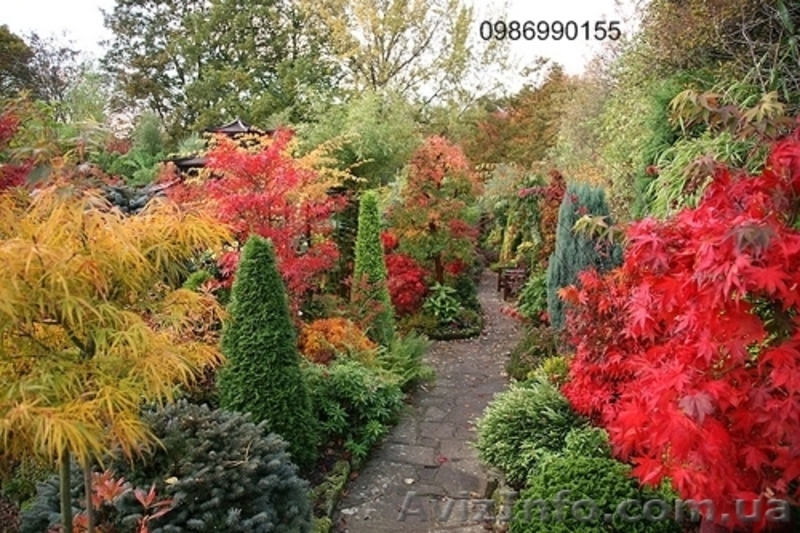 Ландшафтный дизайн и озеленение территории - <ro>Изображение</ro><ru>Изображение</ru> #3, <ru>Объявление</ru> #631464