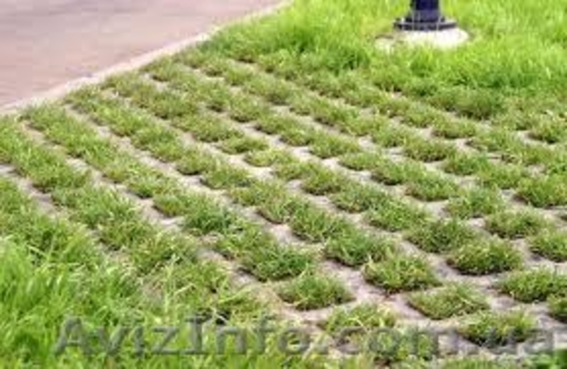  газонная решетка,европарковка - <ro>Изображение</ro><ru>Изображение</ru> #2, <ru>Объявление</ru> #636779