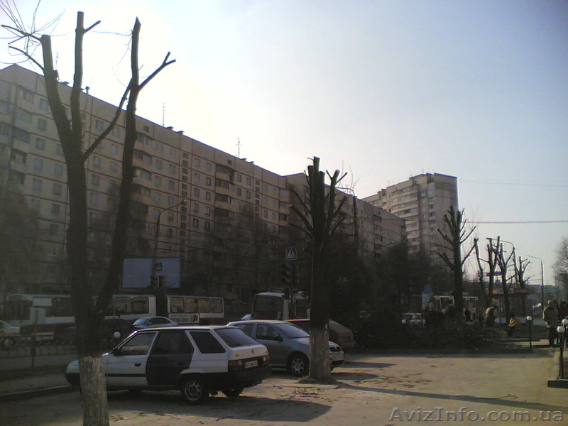 Спил деревьев, спилить деревья, ветки, удалить пень харьков - <ro>Изображение</ro><ru>Изображение</ru> #9, <ru>Объявление</ru> #613592