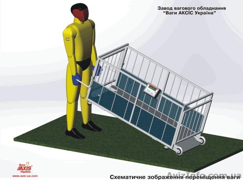 Весы монорельсовые, весы для животных  - <ro>Изображение</ro><ru>Изображение</ru> #1, <ru>Объявление</ru> #636151