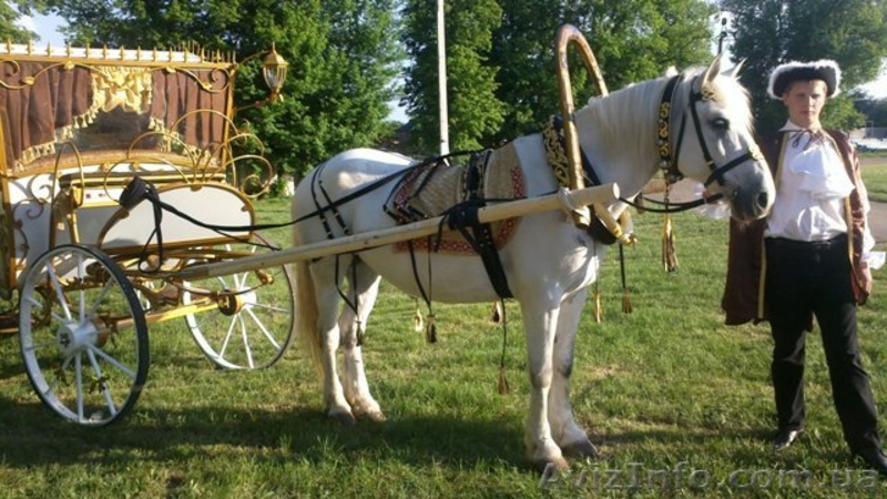 прокат сказочной кареты - <ro>Изображение</ro><ru>Изображение</ru> #3, <ru>Объявление</ru> #580293