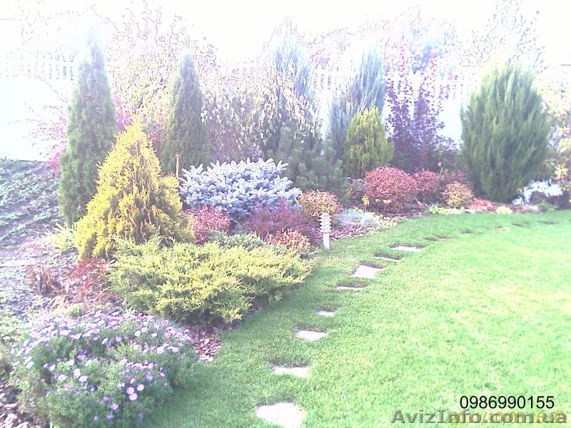 Ландшафтный  дизайнер с бригадой.  - <ro>Изображение</ro><ru>Изображение</ru> #2, <ru>Объявление</ru> #661765