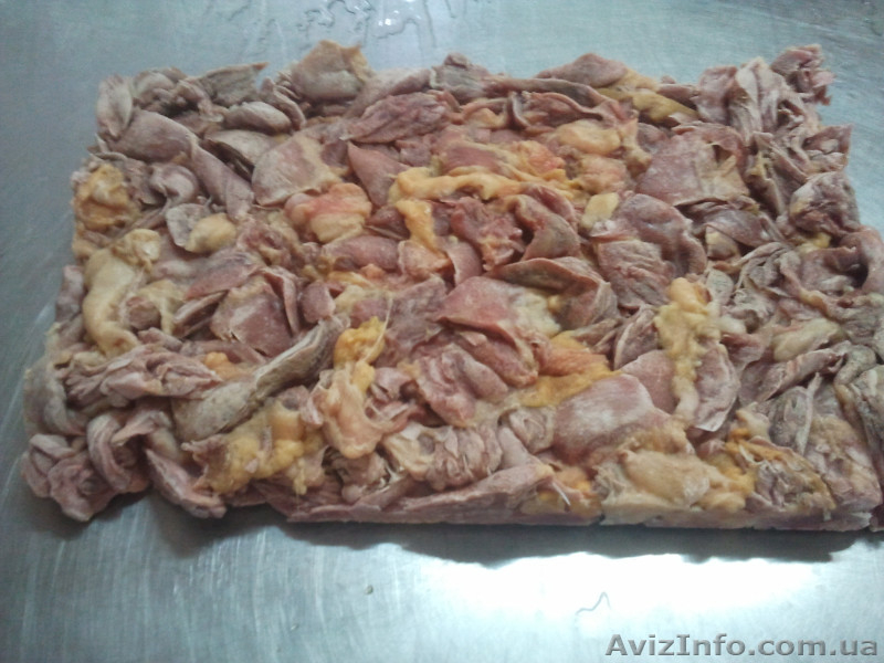 Предприятие предлагает мясо механической обвалки птицы -курица несушка - <ro>Изображение</ro><ru>Изображение</ru> #2, <ru>Объявление</ru> #666786